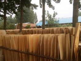 樺木異形單板廠家